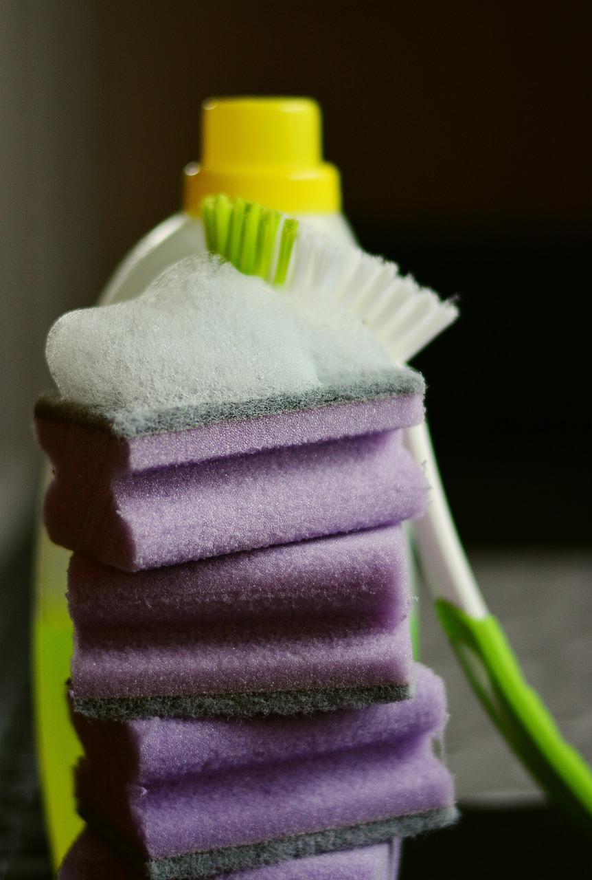 sponge, cleaning sponge, clean-2546126.jpg
